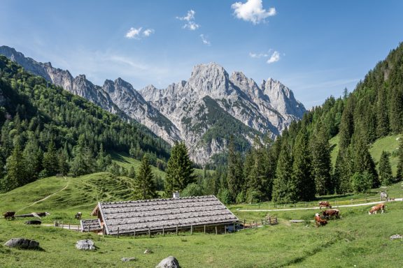 Bindalm Altes Holzhaus in einer malerischen Berglandschaft mit grünen Wiesen und hohen Gipfeln.